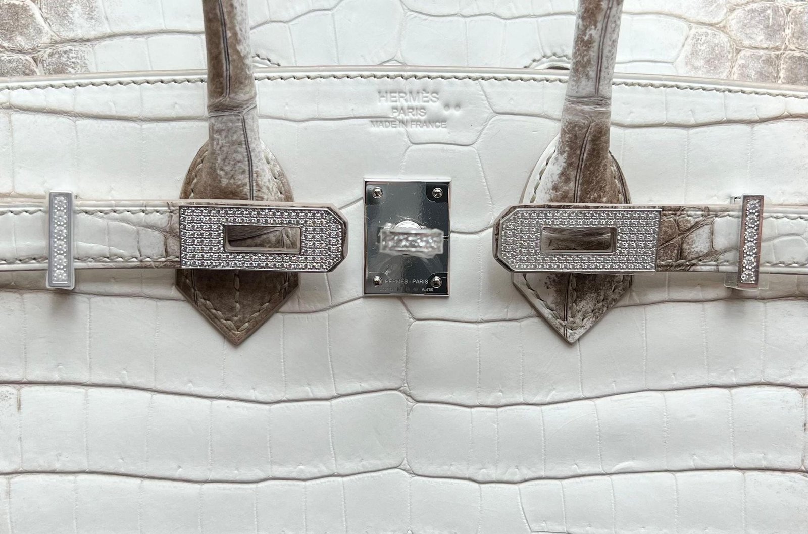 Hermès Himalaya Birkin 25 Niloticus Crocodile Diamond Encrusted Palladium Hardware - Image 4