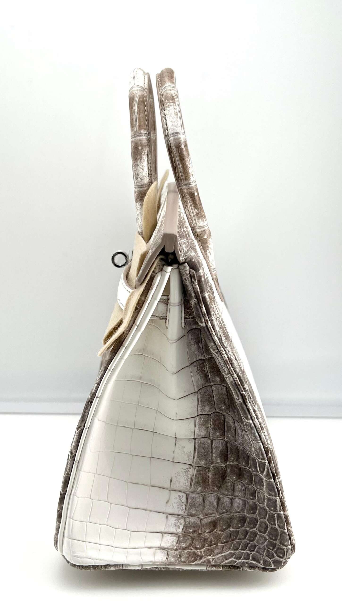 Hermès Himalaya Birkin 25 Niloticus Crocodile Diamond Encrusted Palladium Hardware - Image 6