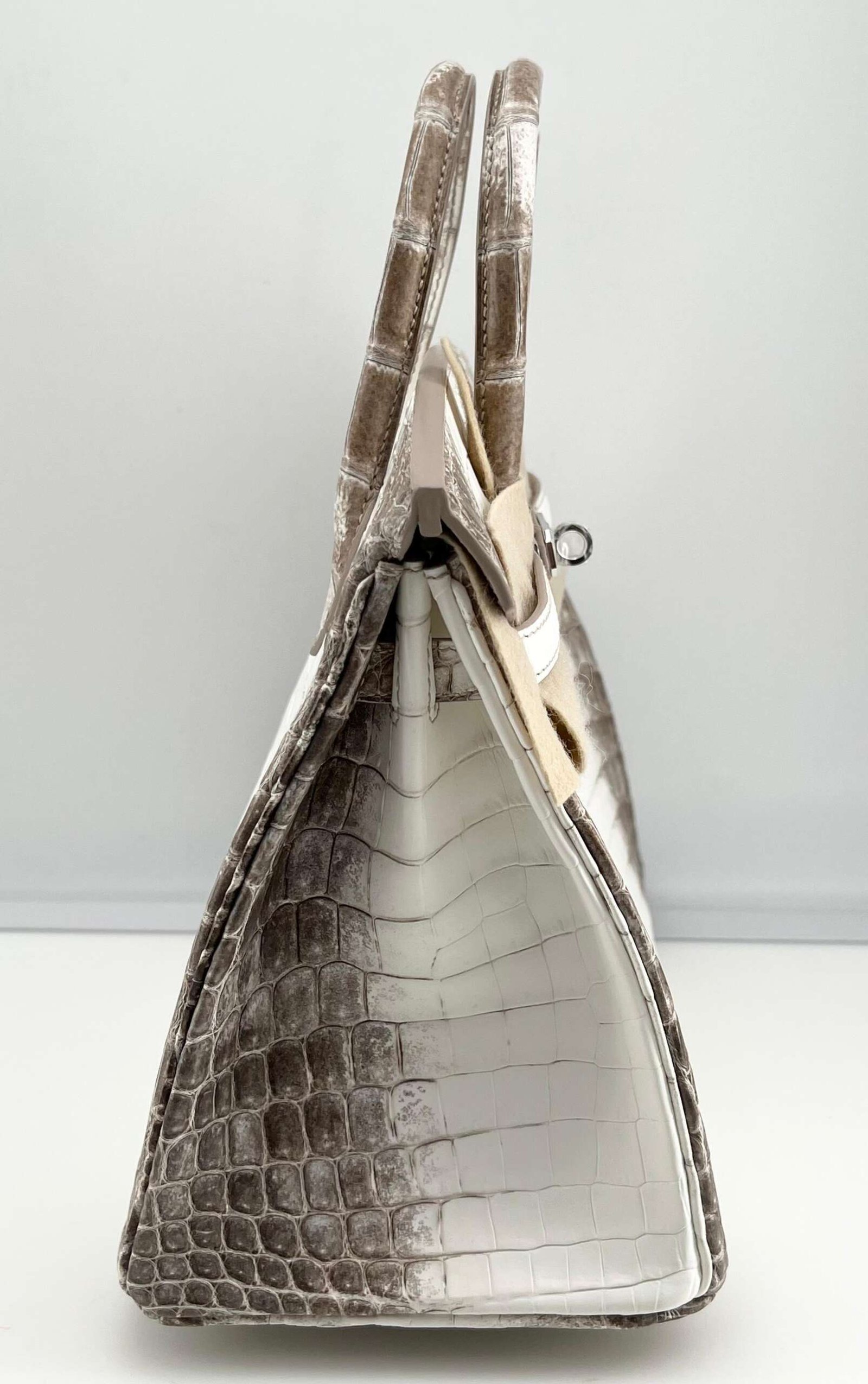 Hermès Himalaya Birkin 25 Niloticus Crocodile Diamond Encrusted Palladium Hardware - Image 5