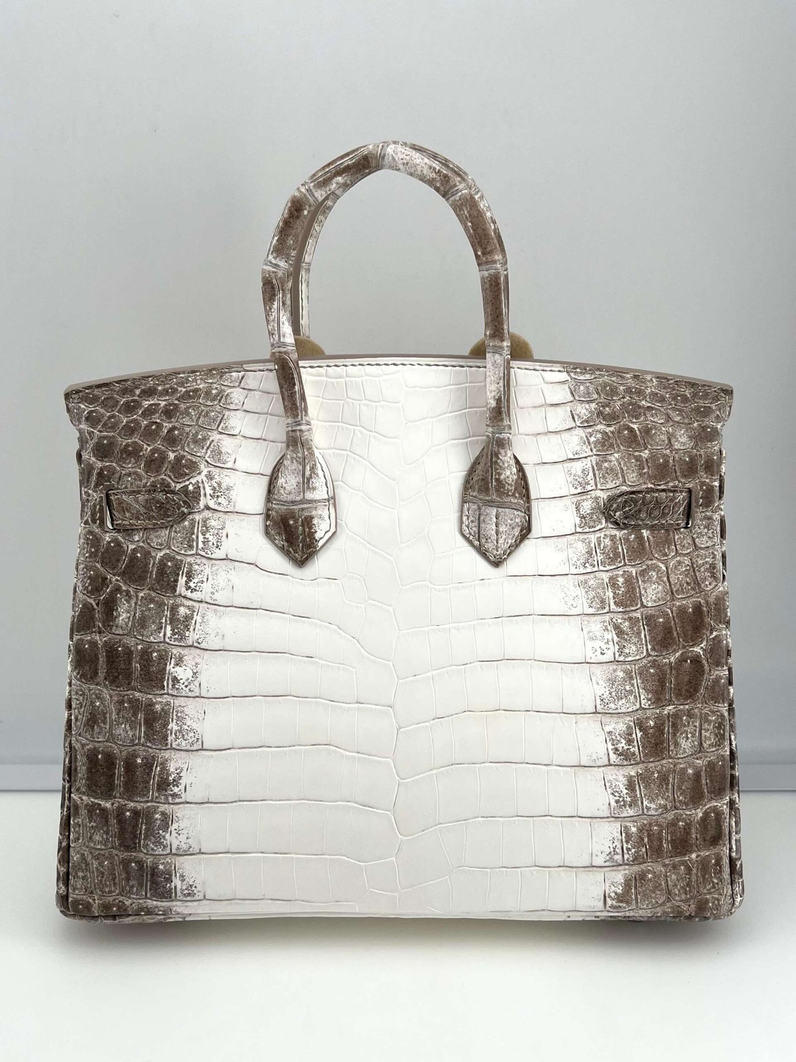 Hermès Himalaya Birkin 25 Niloticus Crocodile Diamond Encrusted Palladium Hardware - Image 3
