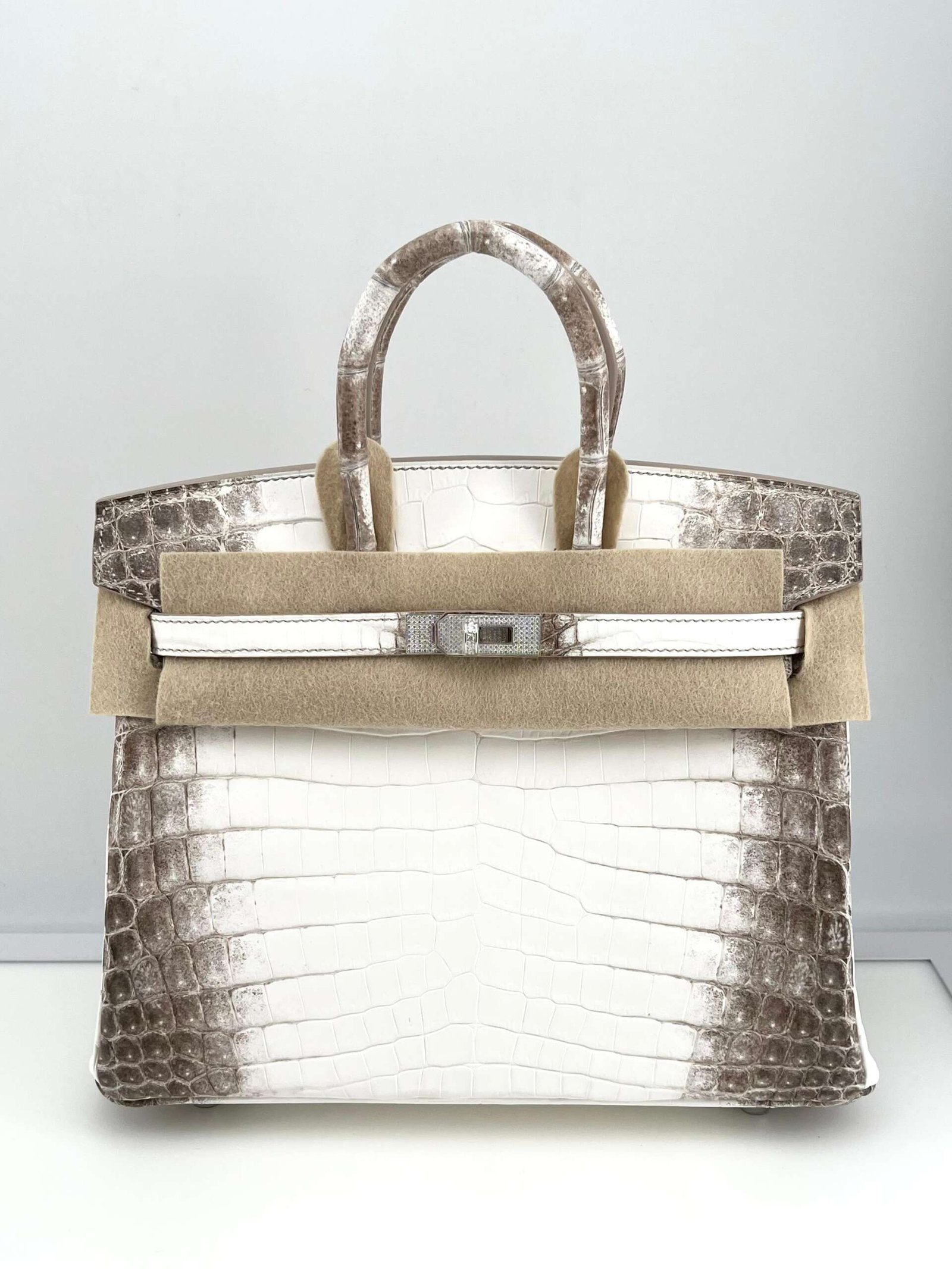 Hermès Himalaya Birkin 25 Niloticus Crocodile Diamond Encrusted Palladium Hardware - Image 2
