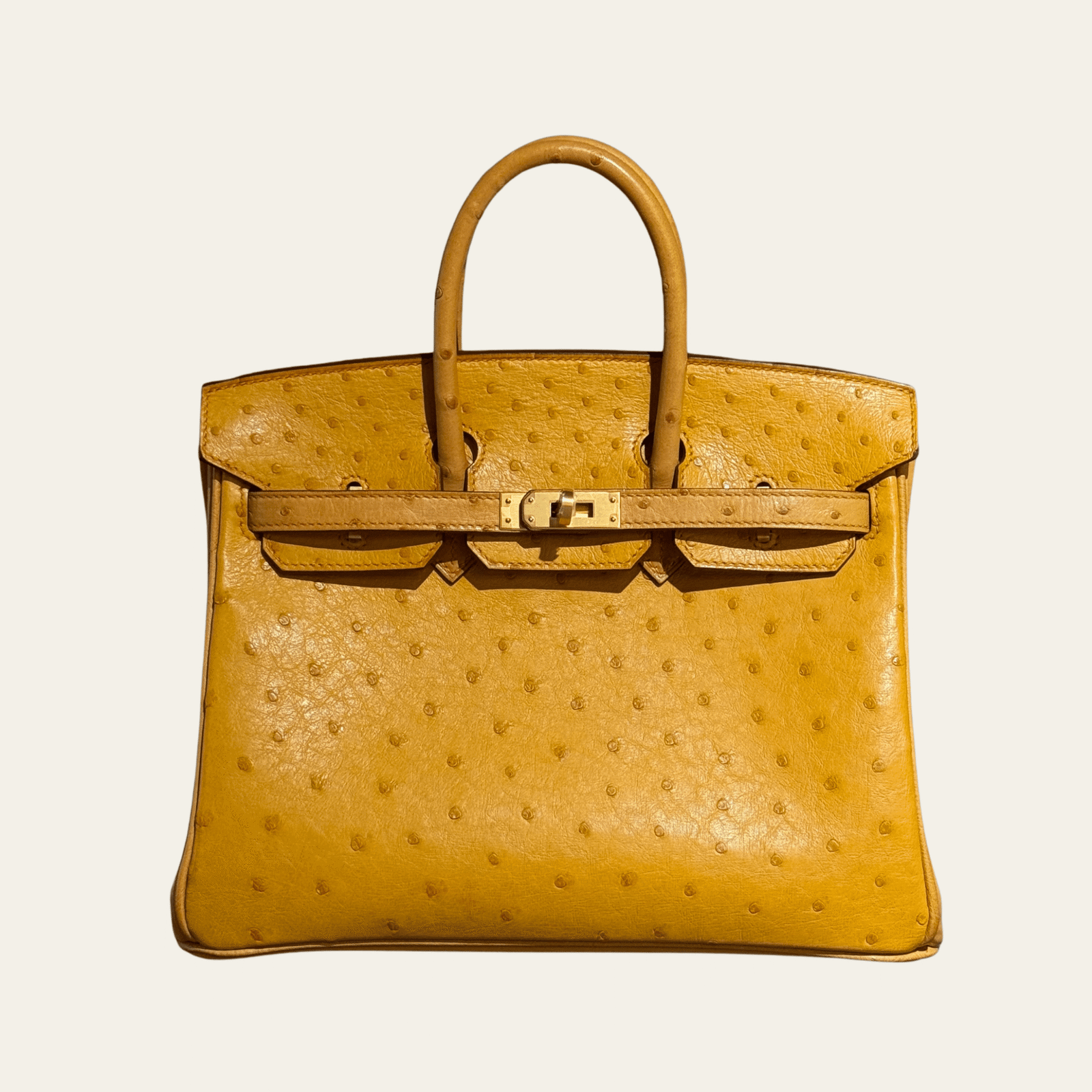 Hermès Natural Sable and Terre Cuite Birkin 25 Ostrich Brushed Gold Hardware HSS