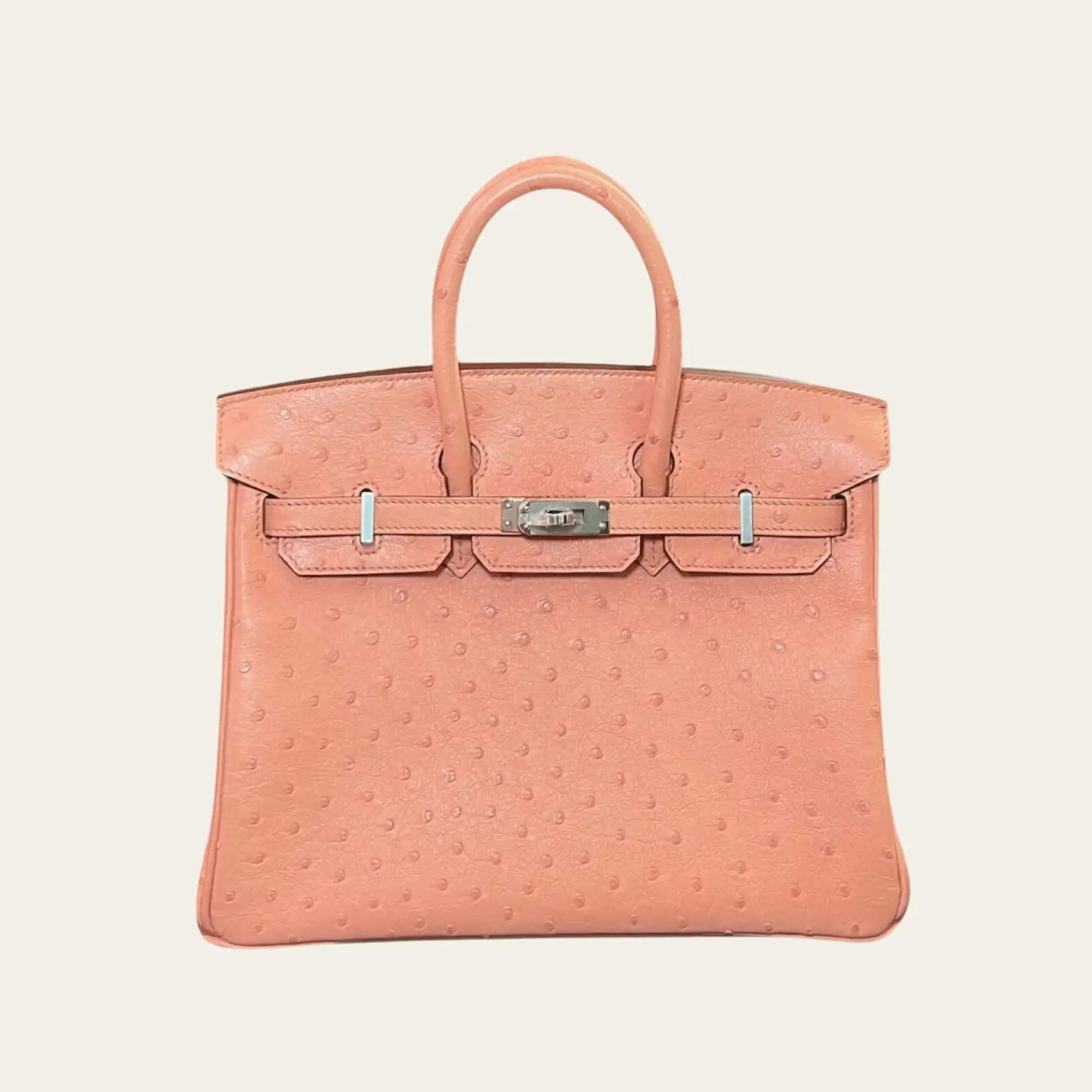 Hermès Terre Cuite Birkin 25 Ostrich Palladium Hardware