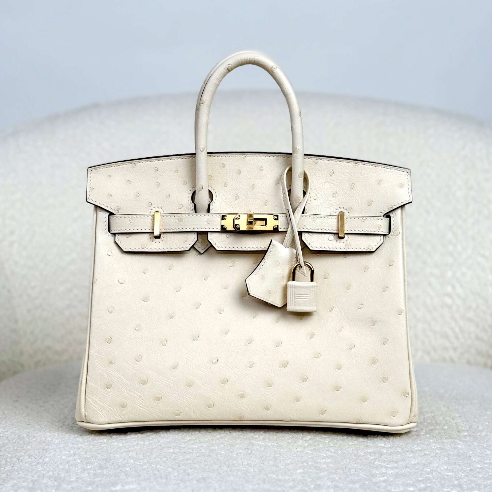 Hermès Nata Birkin 25 Ostrich Gold Hardware