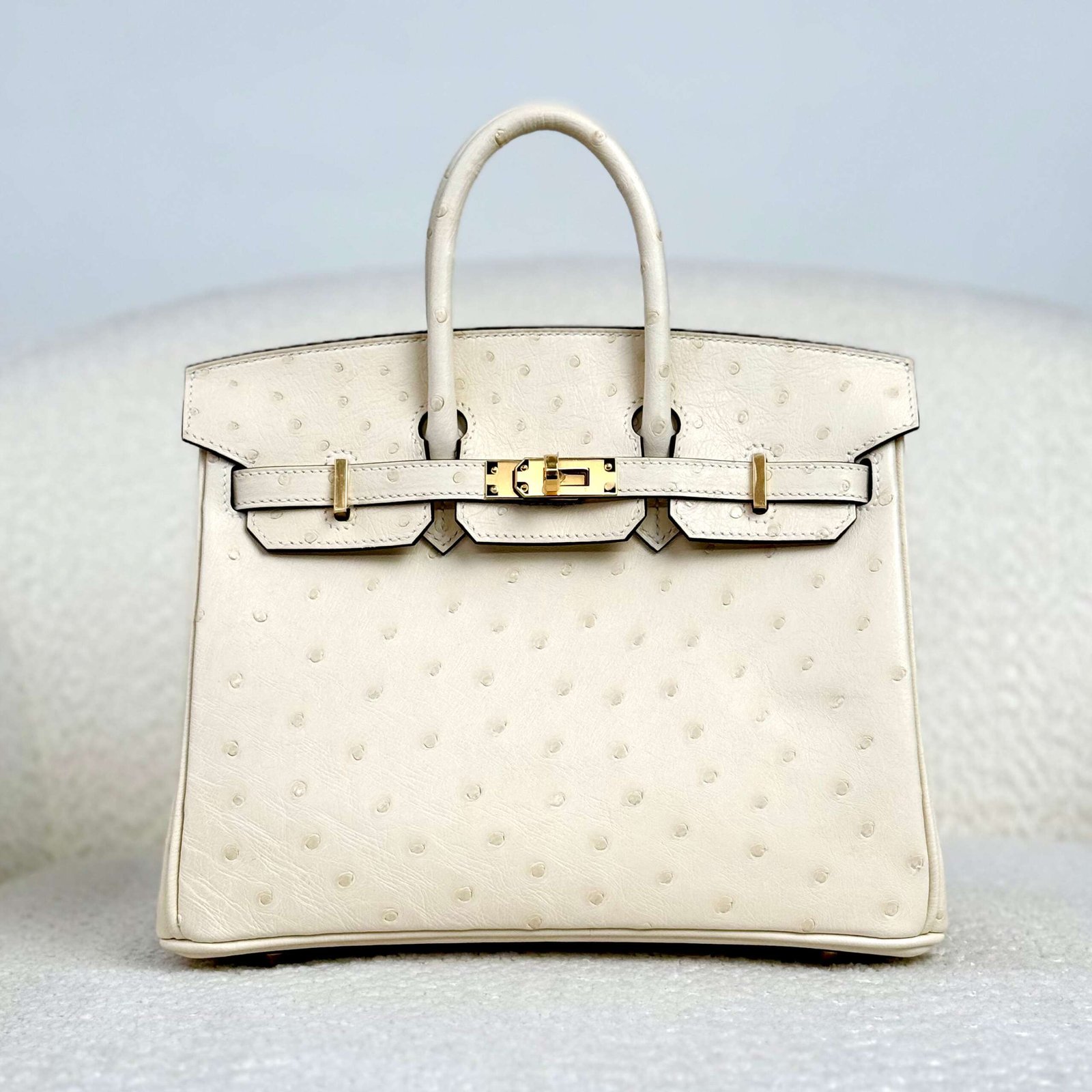 Hermès Nata Birkin 25 Ostrich Gold Hardware