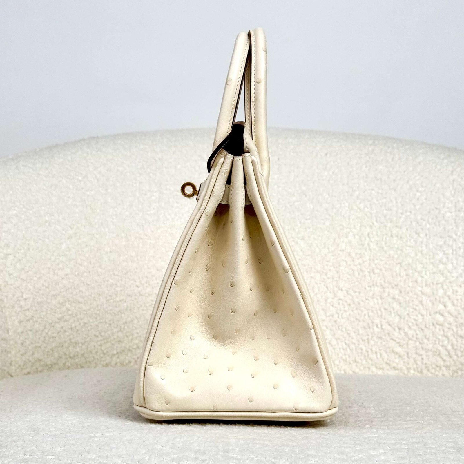 Hermès Nata Birkin 25 Ostrich Gold Hardware