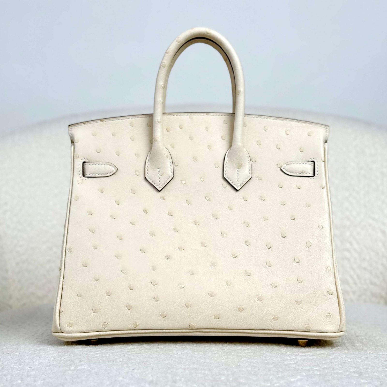 Hermès Nata Birkin 25 Ostrich Gold Hardware