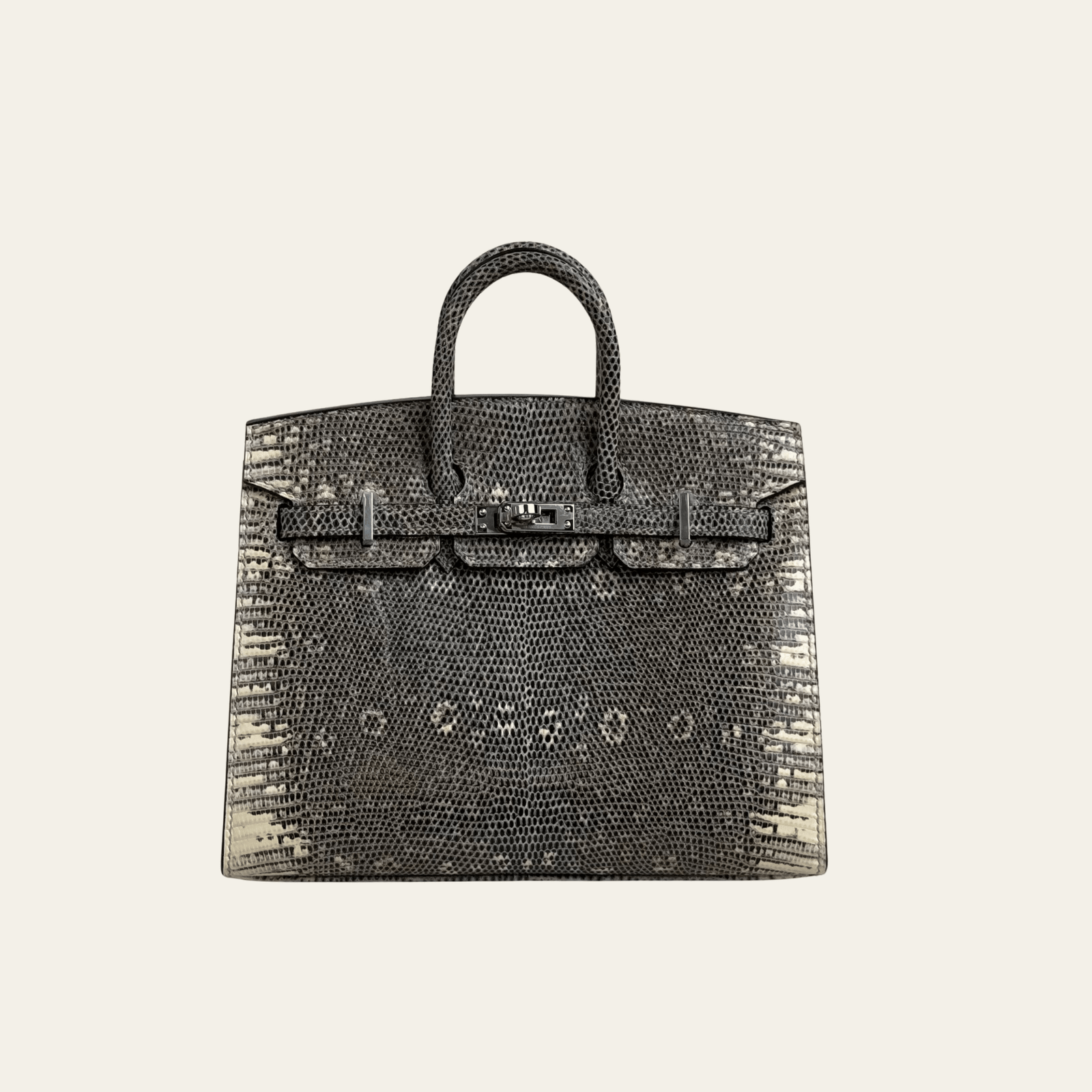 Hermès Ombré Birkin Sellier 20 Varanus Salvator Lizard Palladium Hardware